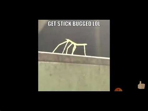 Get Stick Bugged Lol Youtube