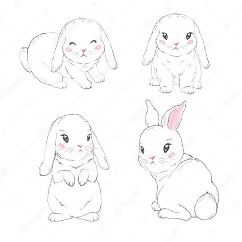 Premium Vector Cute Bunny Girl With Crown Bunny Art Bunny Drawing