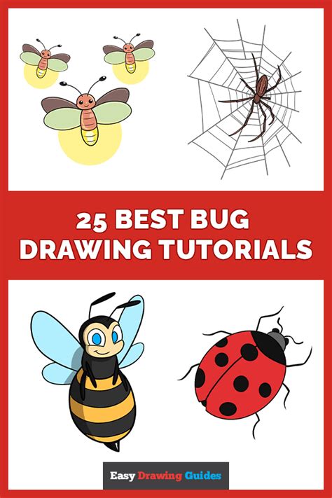 25 Easy Bug Drawing Tutorials