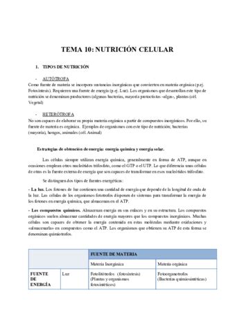 Tema Metabolismo Celular Pdf