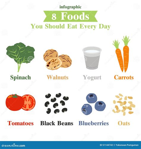 Ten Foods You Should Eat Every Day Infographic Vector CartoonDealer