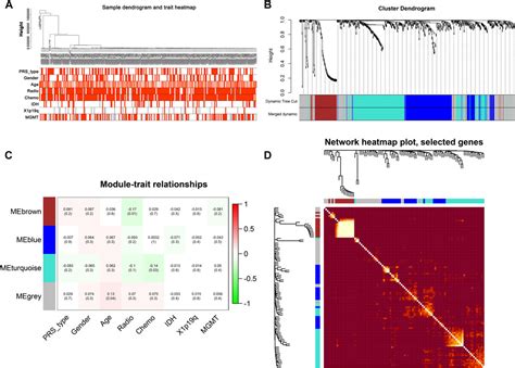 Frontiers Comprehensive Development And Validation Of Gene Signature