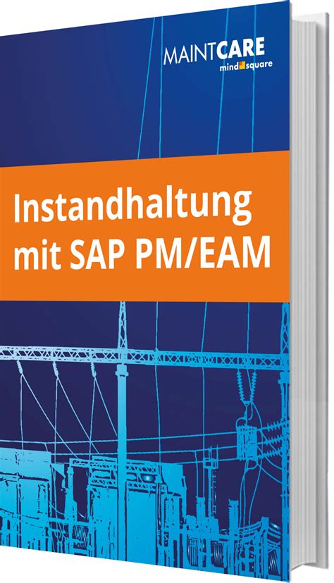 E Book Instandhaltung Mit Sap Pm Eam Maintcare