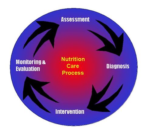 Give A Diagrammatic Representation Of The Nutritional Care Model And