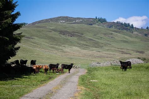 Glenkilrie Bed and Breakfast - Perthshire