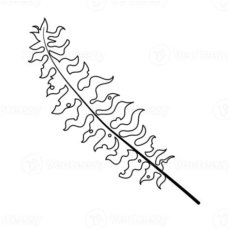 leaf cartoon in outline style 8480949 PNG