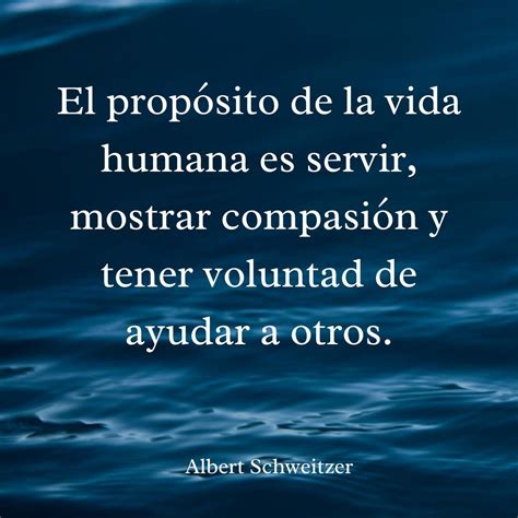 90 Frases De Solidaridad