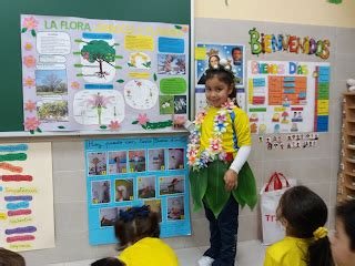 Una Ventana Abierta A Nuestro Mundo Proyecto Fauna Plantas Y Rboles