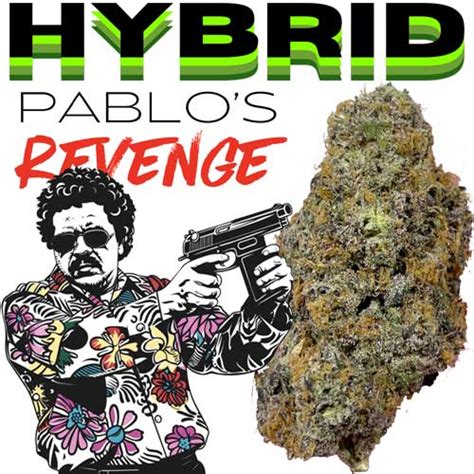 Thca Pablosrevenge