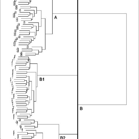 Agglomerative Hierarchical Cluster Algorithm With Complete Linkage