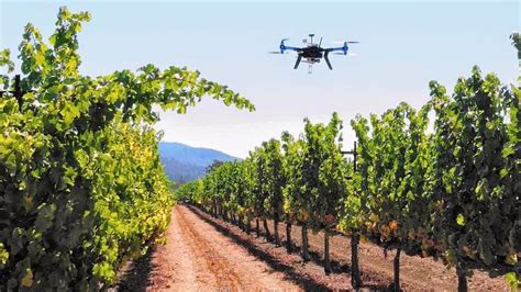 Aplicaciones De Los Drone En La Viticultura Pr Xima Charla En Haro