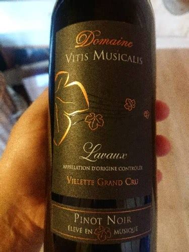 Domaine Vitis Musicalis Pinot Noir Vivino US