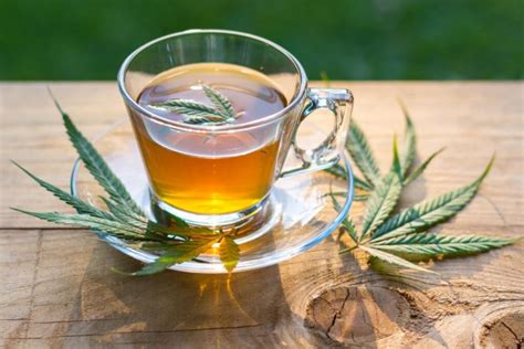 How To Make Cannabis-infused Tea At Home? | Marijuana.TM - Cannabis News