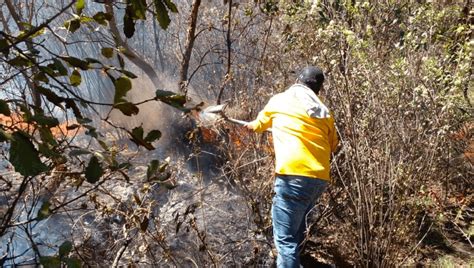 Hasta 78 hectáreas de bosque afectadas en Huixquilucan por incendios