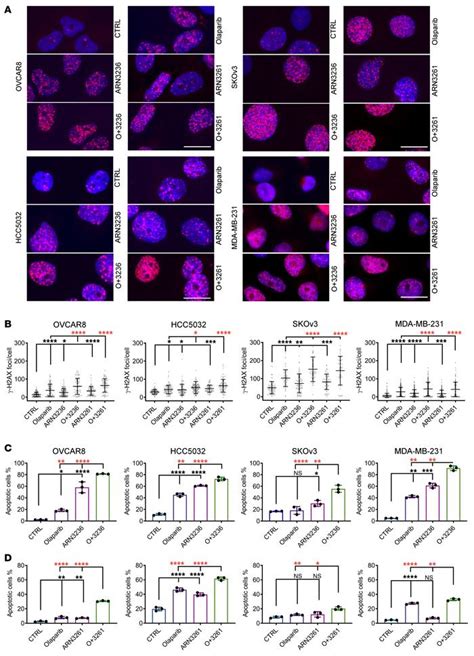 Jci Sik Inhibition Enhances Parp Inhibitor Activity Synergistically