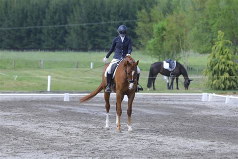 Dressage Arena Layout - Plus how to remember arena letters