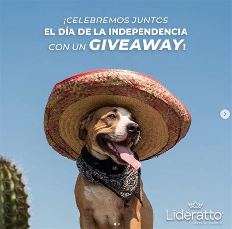 Giveaway Lideratto Mes Patrio Gana Un Costal De Alimento Para Tu Perro