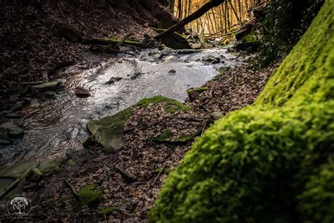 Photo Trip To Margarethen Gorge Nils Mora Photography