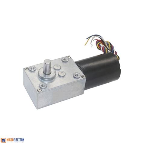 5840 3650 12v 80 Rpm Brushless Dc Worm Gear Reduction Motor With