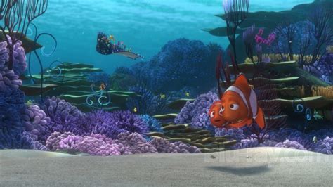 Finding Nemo Blu Ray Blu Ray Dvd