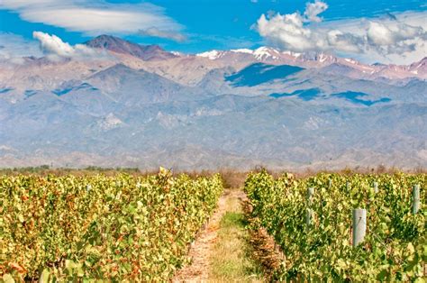 Visit Mendoza: Luxury Travel to Wine Capital of Argentina | LANDED Travel