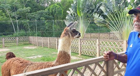 Safari Eco Park Chaguaramas Trinidad Og Tobago Anmeldelser