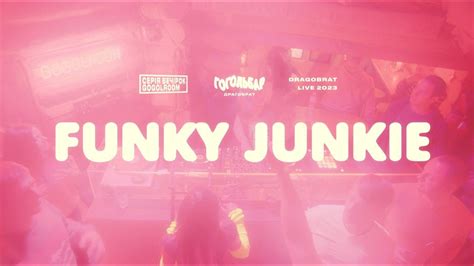 Funky Junkie Funk Vinyl Gogol Room Dj Set Made In Ukraine Youtube