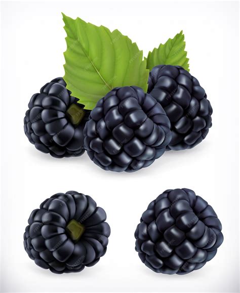 Premium Vector Blackberry Sweet Fruit Forest Berry 3d Icons Set