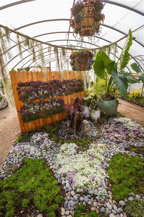 Butterflies at Chatfield Farms | Denver Botanic Gardens