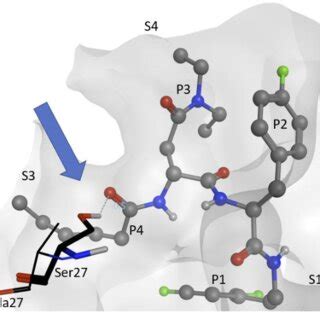 Visualization Of Compound J Docked To Pf S In An Inverted Binding