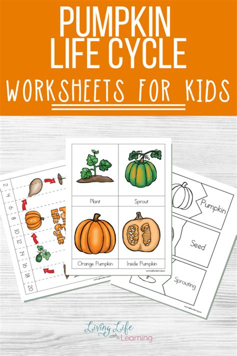 Free Printable Pumpkin Life Cycle Worksheet Students Can See The Life