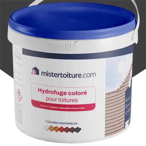 Achat Hydrofuge Coloré Toiture Ardoise 15KG Mistertoiture