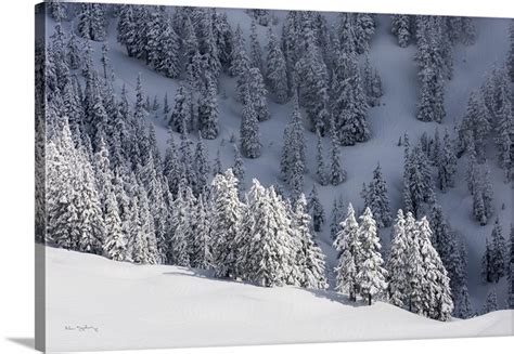 North Cascades In Winter III Wall Art, Canvas Prints, Framed Prints ...