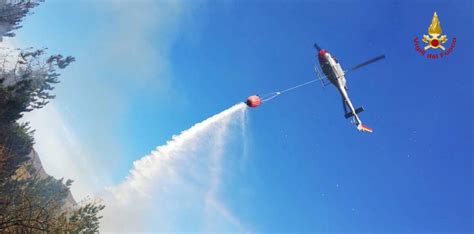 Incendio Di Bosco Canadair Ed Elicottero In Azione