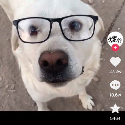 Rita on Twitter 3000粉 谢大伙抬爱 后入 坦克 大奶子 大连 巨臀 恋肥 肥女 胖女孩 BBW https t co rwVDg6lbH6