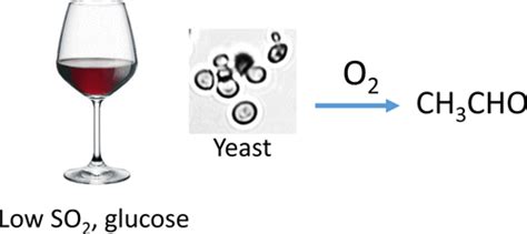 Yeasts Induce Acetaldehyde Production In Wine Micro Oxygenation