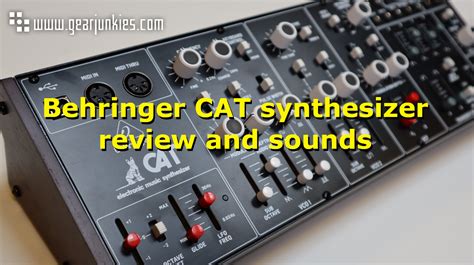 Behringer Cat Synthesizer review and sounds | Eevo Lute Music & Technology