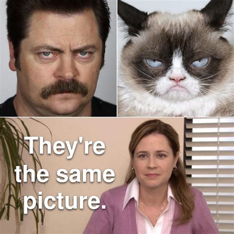 Grumpy Cat Good Imgur