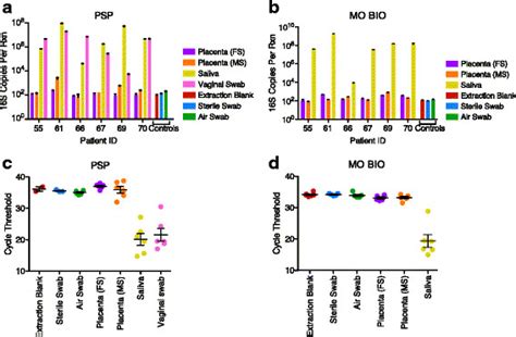 Quantitative Pcr Analysis Of 16s Rrna Gene Copy Numbers 16s Rrna Gene