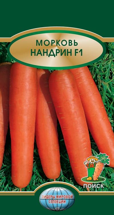 Морковь: лучшие сорта моркови с описанием, отзывы, фото