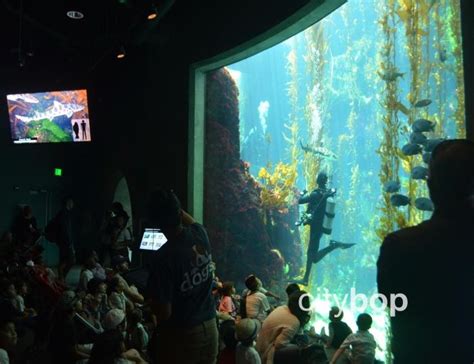 10 BEST Attractions at FREE California Science Center