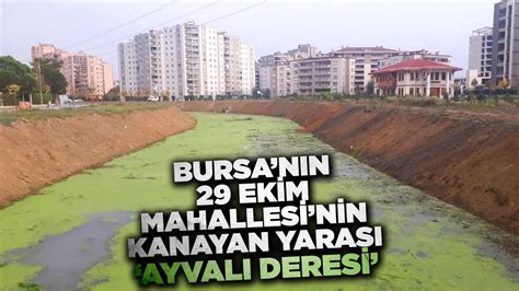 Bursanın 29 Ekim Mahallesinin kanayan yarası Ayvalı Deresi YouTube