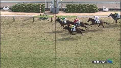 【競馬・京都6r新馬戦】1着～4着までディープ産駒が独占ww！良血場ディープインラブは3着に敗れる オルフェンズの仔～～競馬ネタ予想まとめ