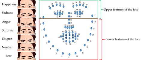 The Standard 68 Facial Landmarks And Seven Basic Emotions Upper And