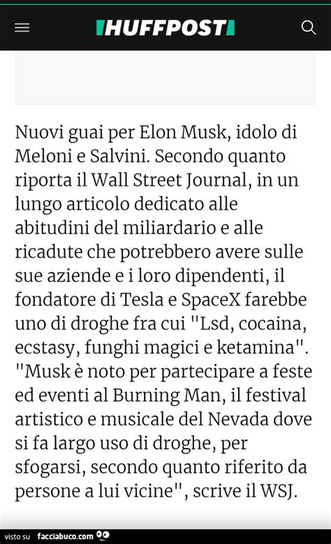 Nuovi Guai Per Elon Musk Idolo Di Meloni E Salvini Secondo Quanto