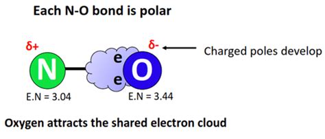 Is No3 Polar Or Nonpolar Polarity Of Nitrate