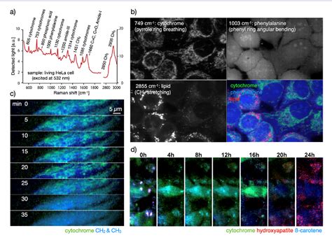 Raman Spectroscopy For Chemical Biology Research Semantic Scholar