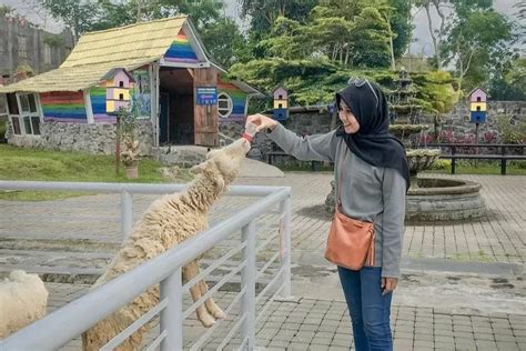 Agrowisata Bhumi Merapi Wisata Edukatif Dan Foto Worthy Dengan Koleksi