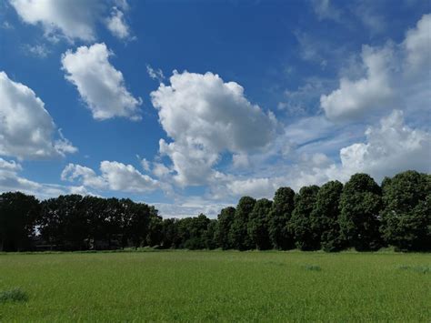 Spazio alla biodiversità nei campi bio di NaturaSì Civita