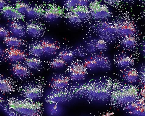 Discover What Microscope Is Best for Examining DNA